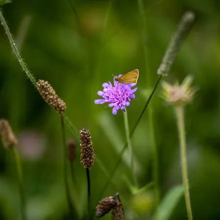 瓦尔斯格罗斯胡斯酒店