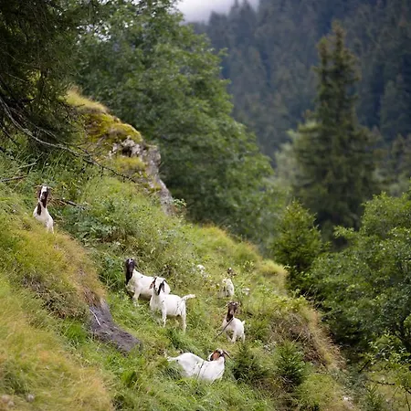 瓦尔斯格罗斯胡斯酒店